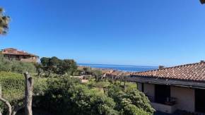 La tartaruga